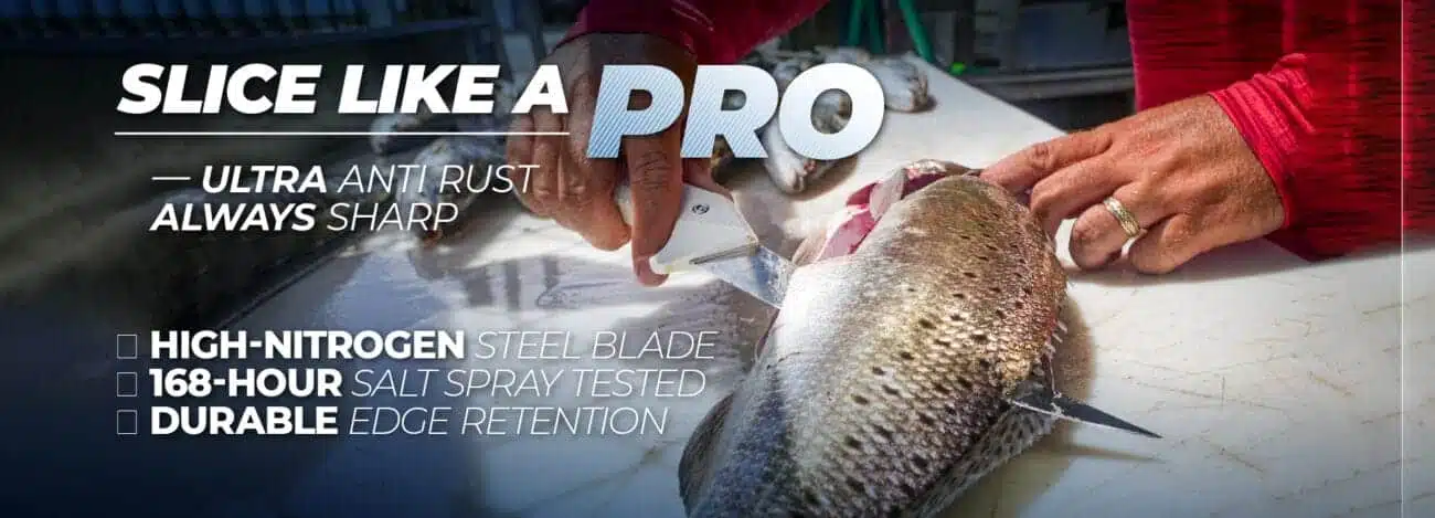 鱼刀（官网banner） 10 1894x684 1