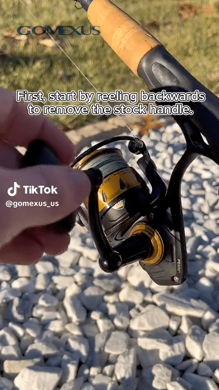 Gomexus-Home 43 gomexus upgrade