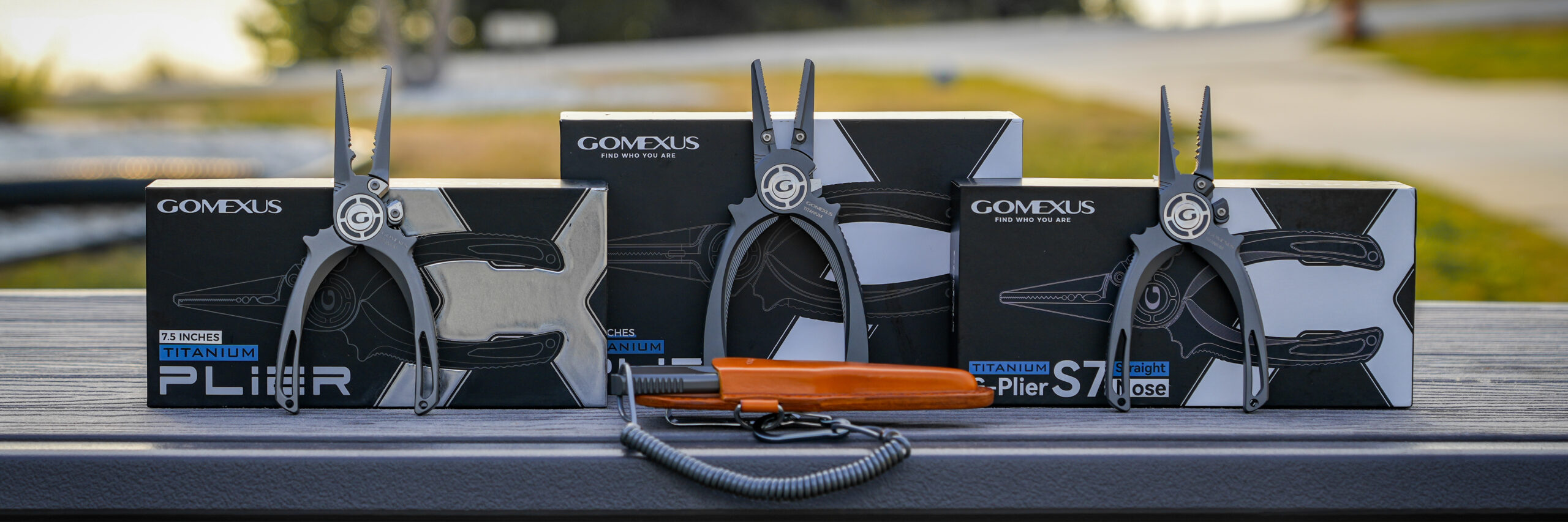 gomexus banner7 scaled
