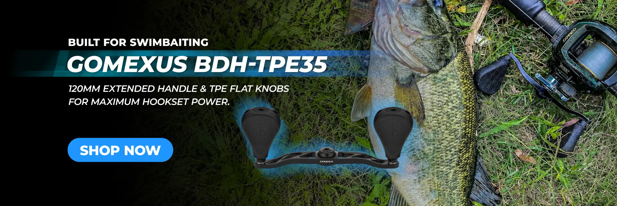 BDH TPE35 banner desktop scaled