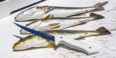 N-Boost™ Fillet Knife 7″/9″：How Can You Fillet a Fish on the Boat