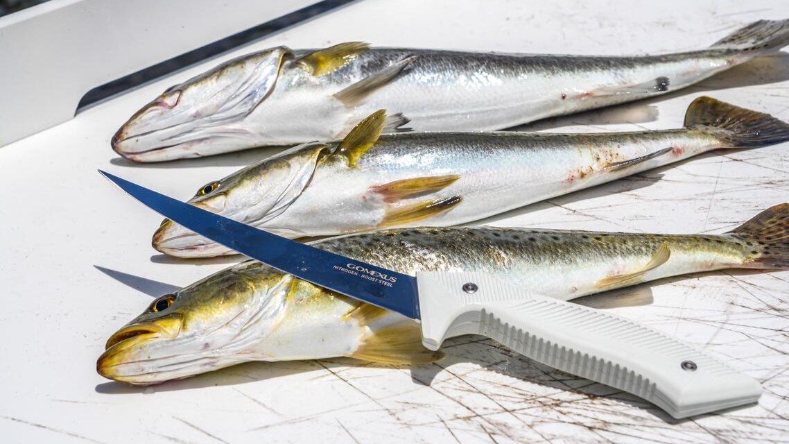 N-Boost™ Fillet Knife 7″/9″：How Can You Fillet a Fish on the Boat